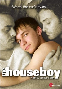 Постер фильма: Домашний мальчик