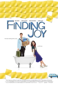 Постер фильма: В поисках радости