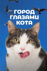 Постер фильма: Город глазами кота