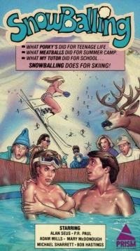 Постер фильма: Игра в снежки