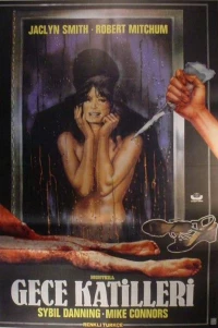 Постер фильма: Ночное убийство