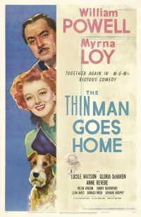 Постер фильма: Тонкий человек едет домой