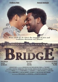 Постер фильма: The Bridge