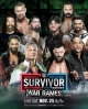 WWE Survivor Series WarGames