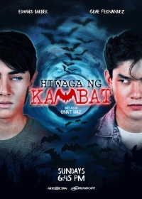 Постер фильма: Hiwaga ng kambat