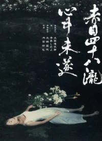 Постер фильма: 48 водопадов Акамэ