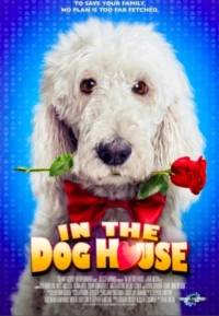 Постер фильма: In the Dog House