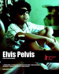 Постер фильма: Elvis Pelvis