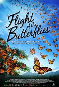 Постер фильма: Полет бабочек