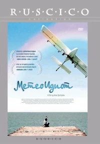 Постер фильма: Метеоидиот