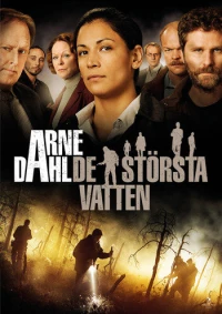 Постер фильма: Arne Dahl: De största vatten