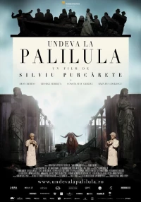Постер фильма: Где-то в Палилула
