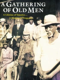 Постер фильма: Сборище стариков