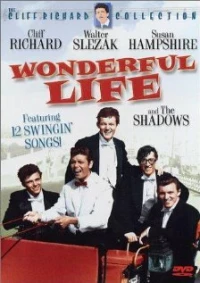 Постер фильма: Wonderful Life
