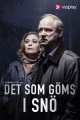 Шведские сериалы про убийства