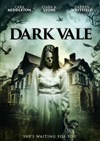 Постер фильма: Dark Vale