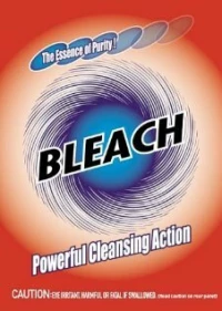 Постер фильма: Bleach