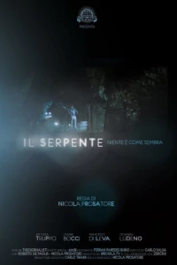 Постер фильма: Il serpente, niente è come sembra