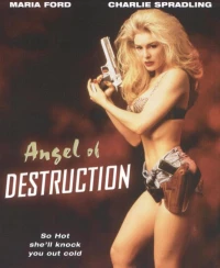 Постер фильма: Ангел разрушения