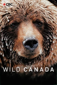 Постер фильма: Дикая Канада