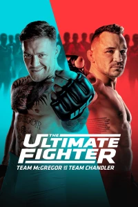 Постер фильма: The Ultimate Fighter