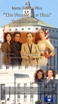 Постер фильма: The Female Law Firm