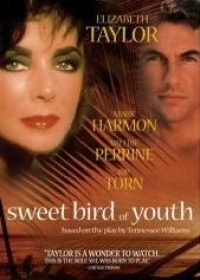 Постер фильма: Сладкоголосая птица юности