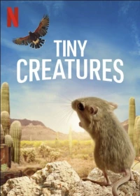 Постер фильма: Крошечные существа