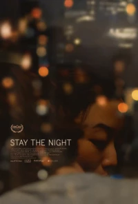 Постер фильма: Роман на одну ночь