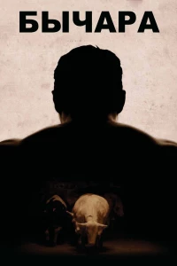 Постер фильма: Бычара