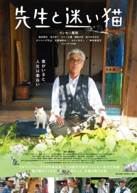 Постер фильма: Учитель и бездомный кот