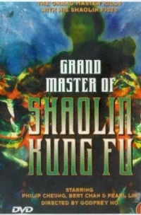 Постер фильма: Великий магистр Шаолинь кун-фу