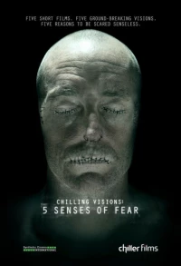 Постер фильма: 5 чувств страха