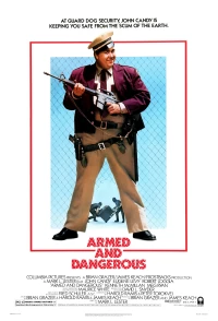 Постер фильма: Вооружены и опасны