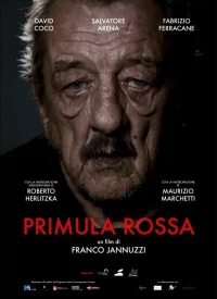 Постер фильма: Primula Rossa