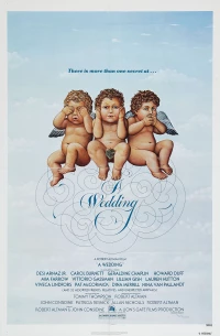 Постер фильма: Свадьба