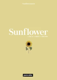 Постер фильма: Sunflower