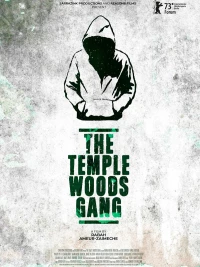 Постер фильма: Le gang des Bois du Temple