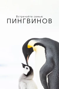 Постер фильма: Встречайте семью пингвинов