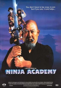 Постер фильма: Академия ниндзя