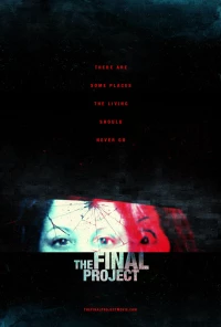 Постер фильма: The Final Project