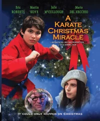 Постер фильма: Рождественское чудо в стиле карате