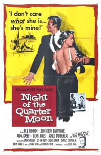 Постер фильма: Ночь четверти Луны