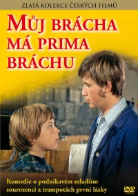 Постер фильма: У моего брата отличный братишка