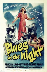 Постер фильма: Блюз ночью