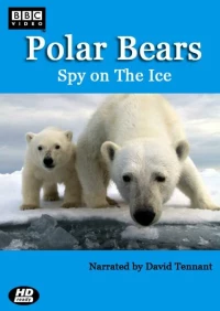 Постер фильма: Белый медведь: Шпион во льдах