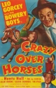 Crazy Over Horses