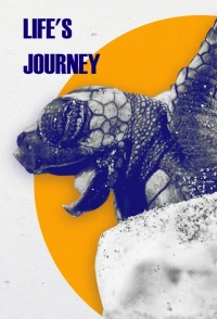 Постер фильма: Life's Journey