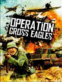 Постер фильма: Операция «Орлиный крест»