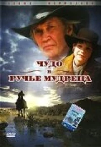 Постер фильма: Чудо в Ручье мудреца